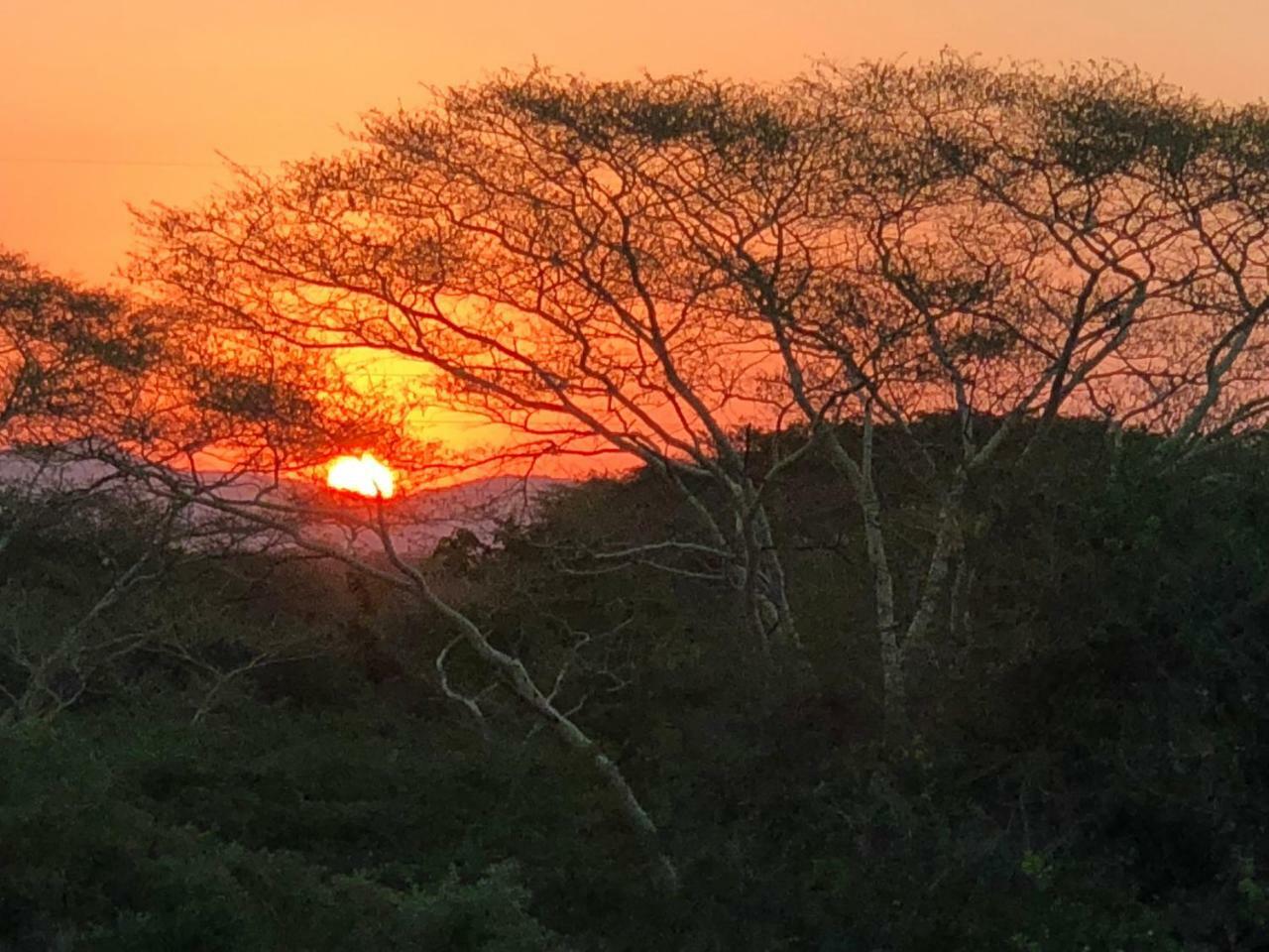 Msunduze River Lodge Mkuze 外观 照片